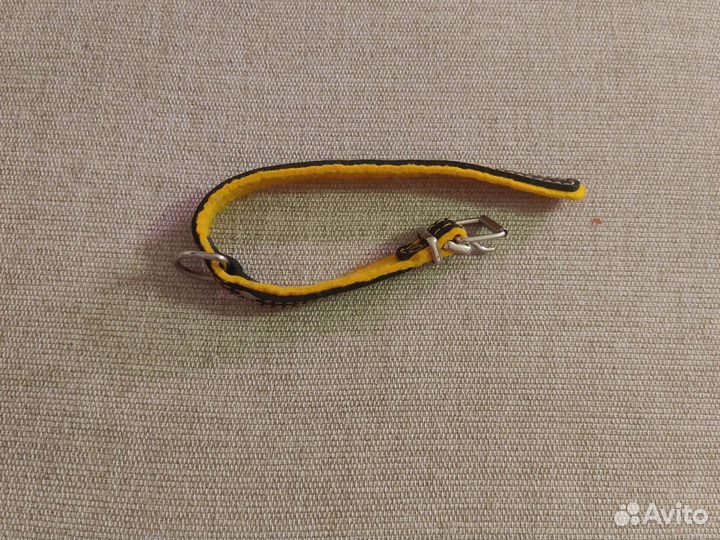 Амуниция для собак