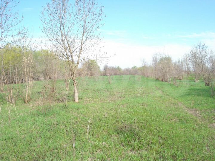 Участок 10 га (СНТ, ДНП)