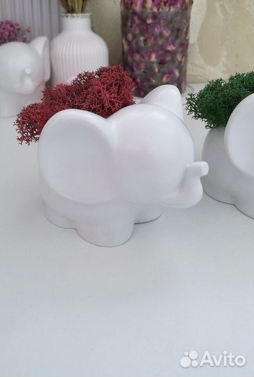 Кашпо слоник со стабилизированным мхом