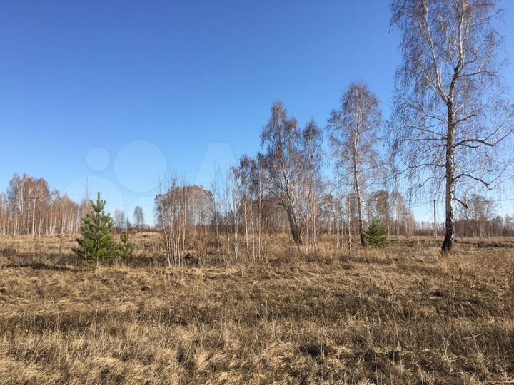 Участок 12 сот. (ИЖС)