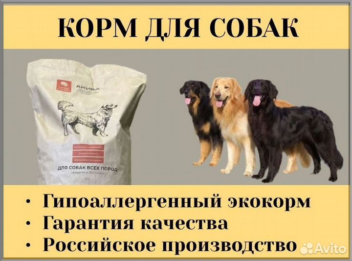 Корм для животных