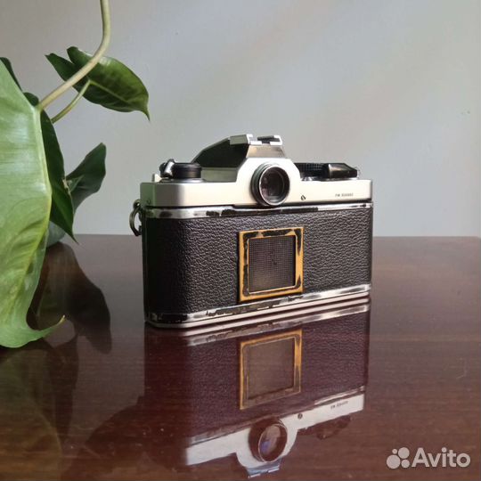 Nikon FM + Nikkor 50 1.8