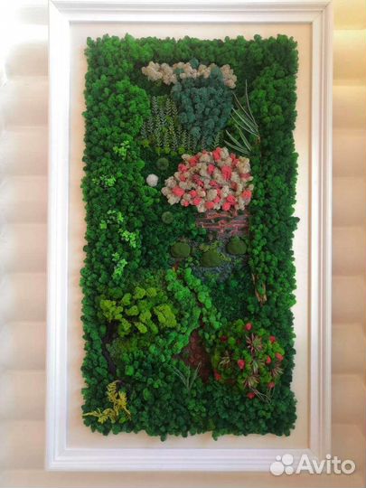 Стабилизированный мох Картины Фитокартины