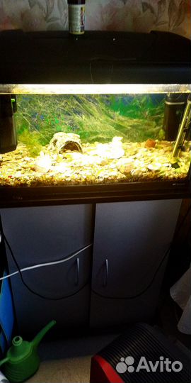 Аквариум 60л Акваэль полный комплект