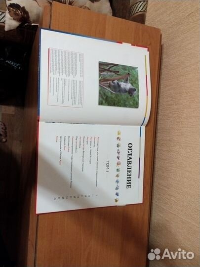 Книга наш мир от а до я