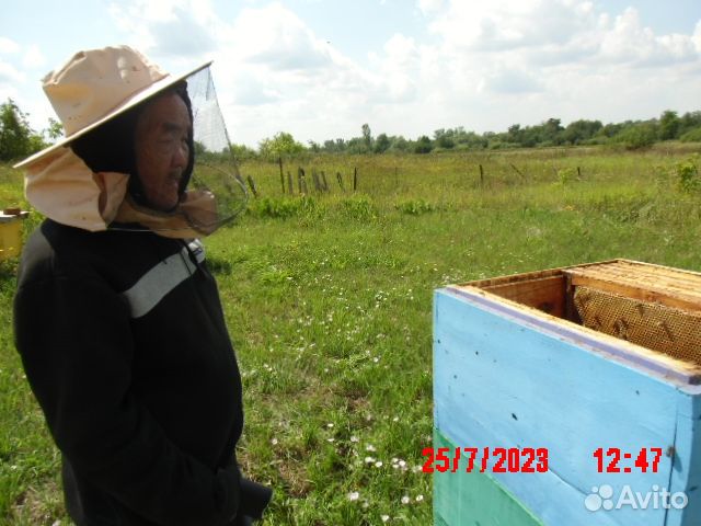 Продам пчел с ульями