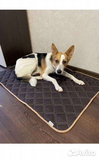 Лежанка-коврик грязе-и водоотталкивающий от raimos