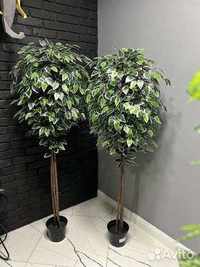 Фикус искусственный, искусственные деревья