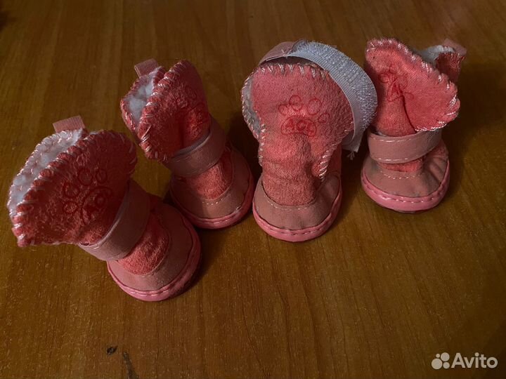 Обувь для собак