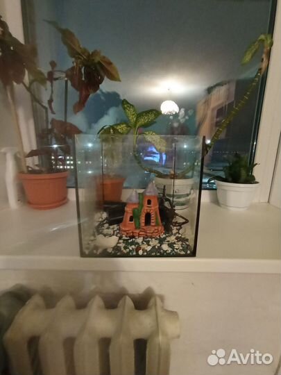 Аквариум для рыбок бу