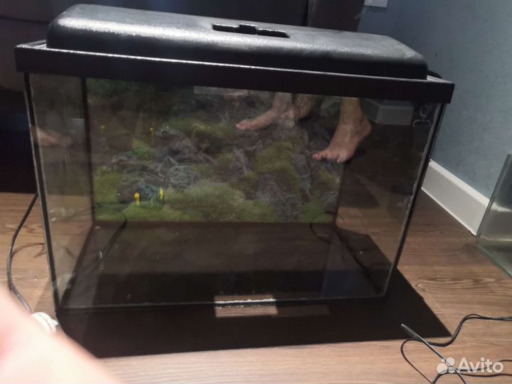 Аквариум