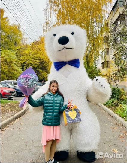 Поздравление от мишки, медведь Тедди, шары