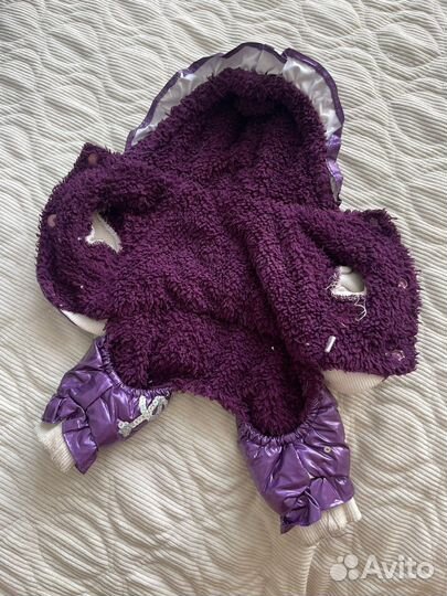 Одежда для маленьких собак