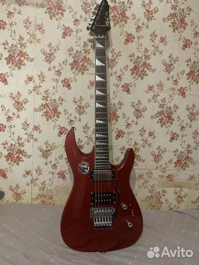 Гитара, Электрогитара PhillPro