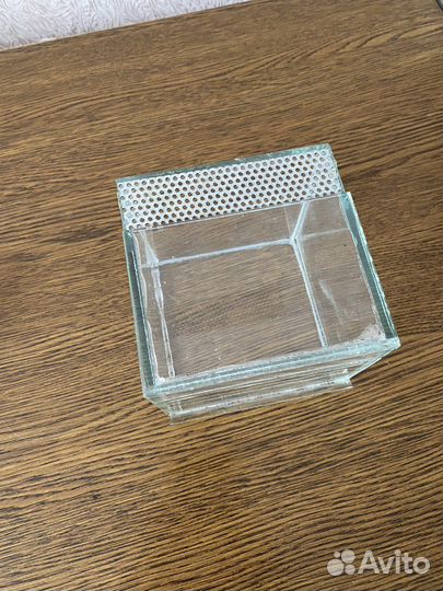 Террариум стеклянный для улиток паука или богомола