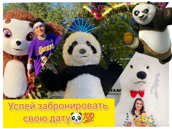 Аниматор Поздравление Панда