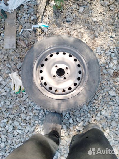 Nokian birdman x2