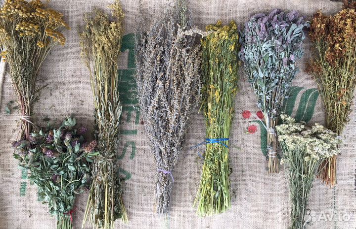 Травы для бани. Травы для чана