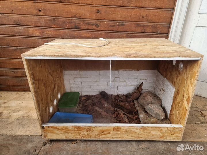 Террариум для рептилий (самодельный)