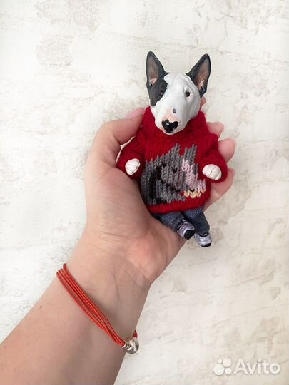 Бультерьер Граф