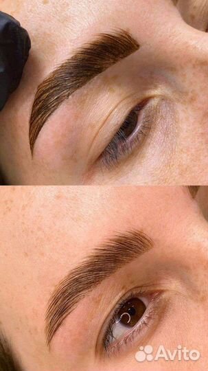 Обучение master бровист