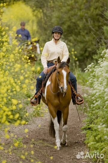 Конные прогулки