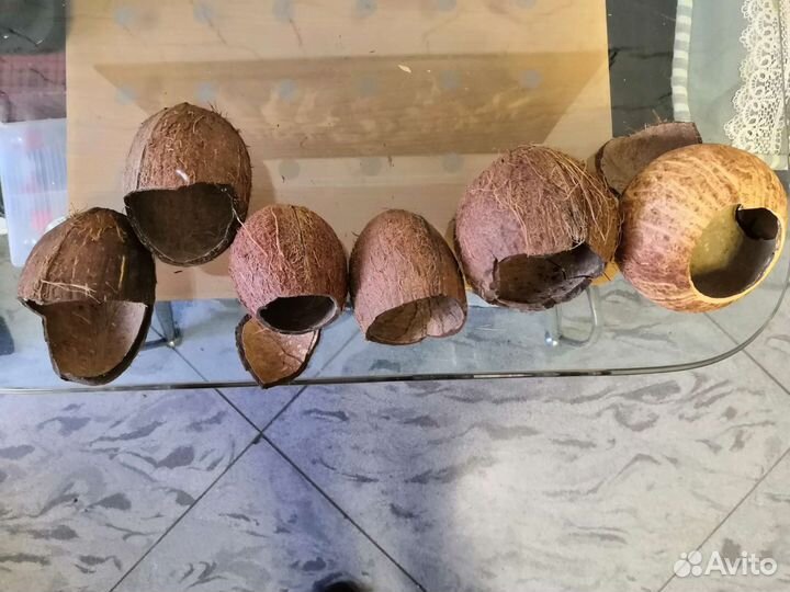 Какос укрытие