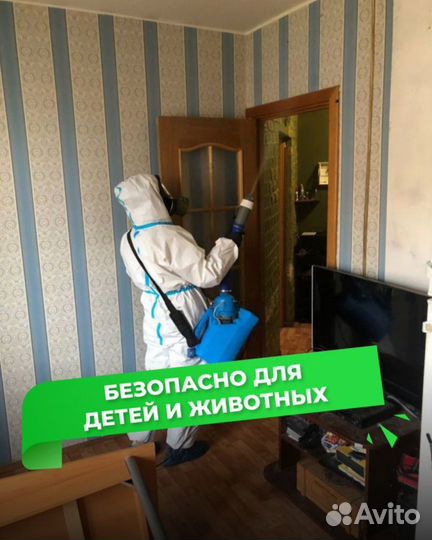 Уничтожение тараканов, клопов. Дезинфекция