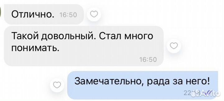 Репетитор по русскому языку И литературе