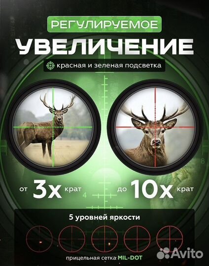 Охота и рыбалка