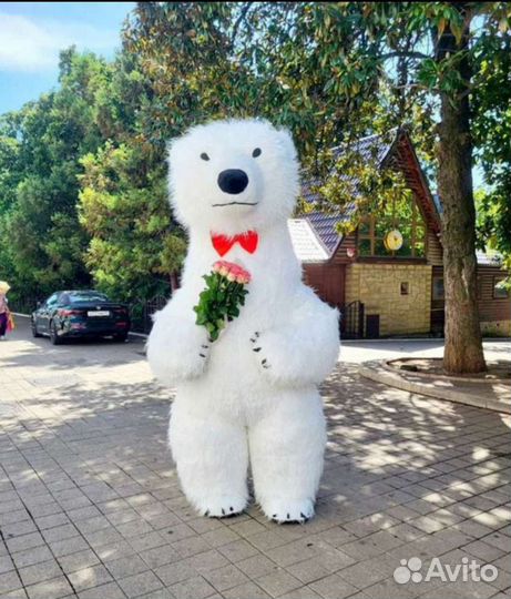 Белый Мишка 2,6 м поздравление