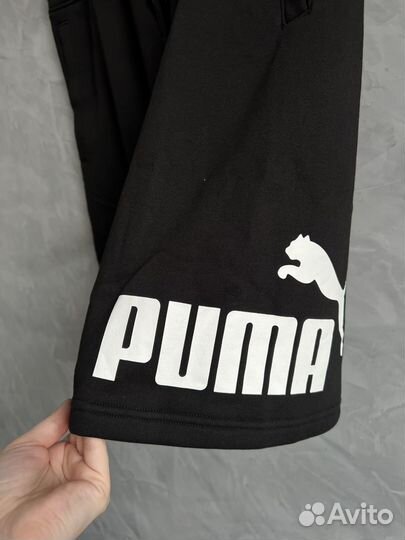 Мужские шорты puma