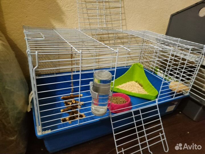 Клетка для декоративного кролика