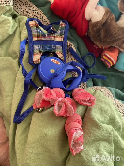 Шлейка, поводок flexi,вещи для собак