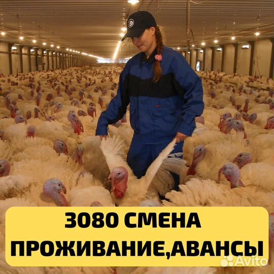 Выезд из Димитровграда, Пенза рабочий