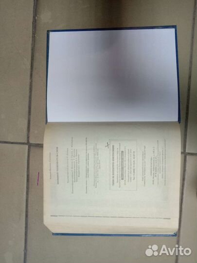 Большой толкователь снов, Наталья Степанова