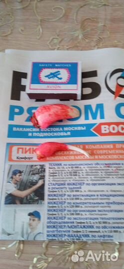 Гиппеаструм