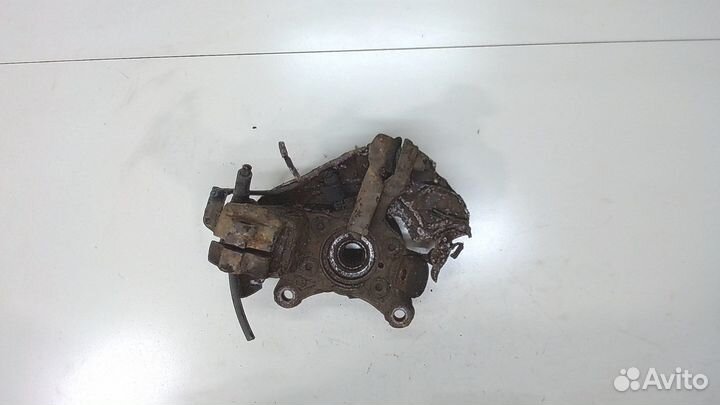 Ступица (кулак, цапфа) Volkswagen Golf 6, 2009