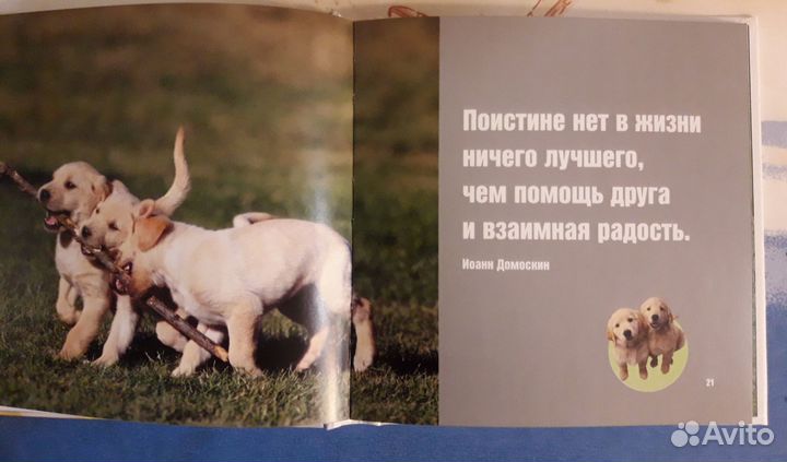 Книжечки для любителей собачек (цена за все)