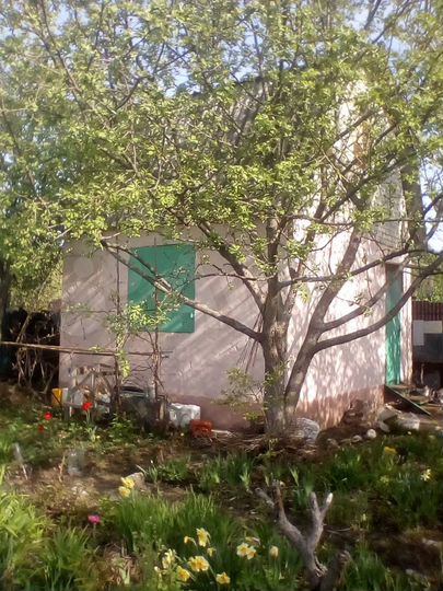 Дача 30 м² на участке 6 сот.