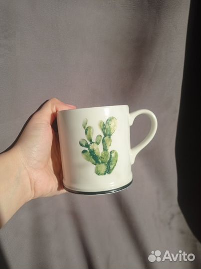 Кактус HM Home