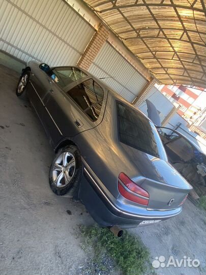 Peugeot 406 разбор