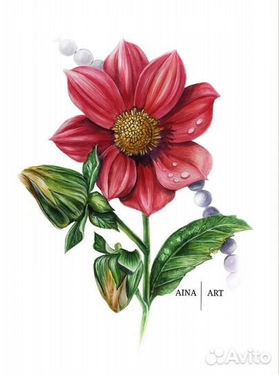 Акварельные живопись пион, роза, георгин, петуния