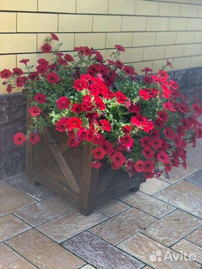 Кашпо для цветов