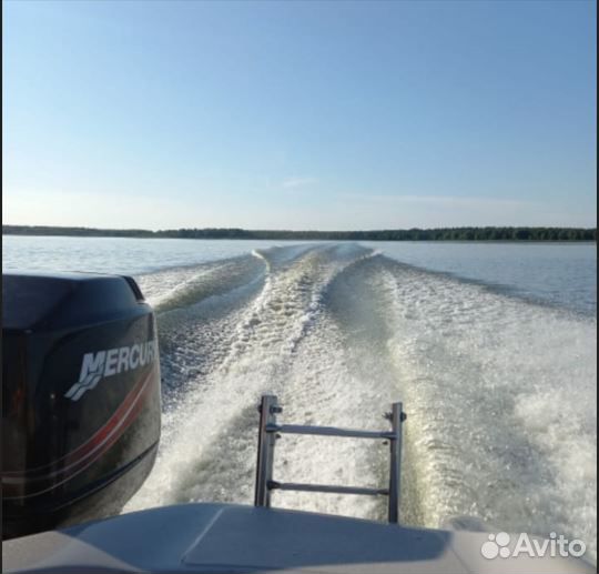 Лодочный мотор Mercury 90 elpto