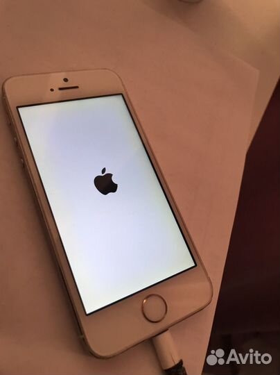 iPhone 5s