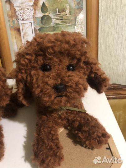 Той-пудель реалистичный