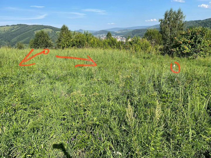 Участок 6 сот. (СНТ, ДНП)