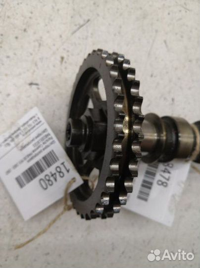 Шестерня распредвала Porsche Cayenne 955 M48.00