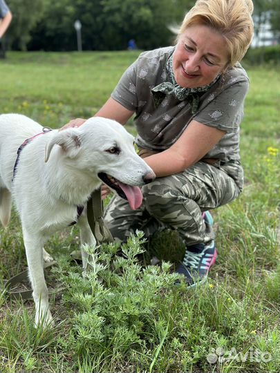 Хрупкая Кейси оказалась в приюте
